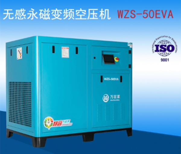 萬茲（zī）萊永（yǒng）磁變（biàn）頻螺杆機（jī）